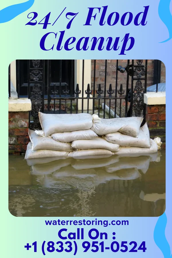 24/7 Flood Cleanup in Freeburg, MO