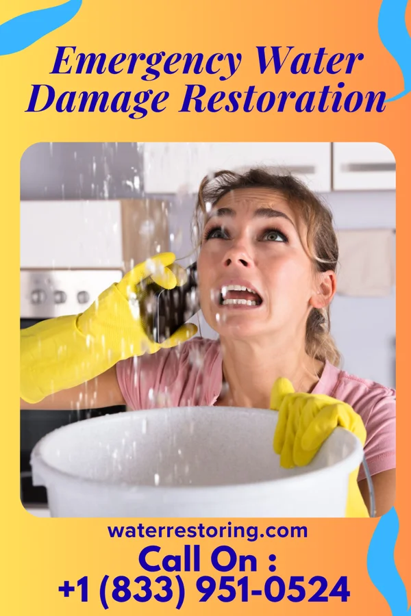Emergency Water Damage Restoration in Freeburg, MO