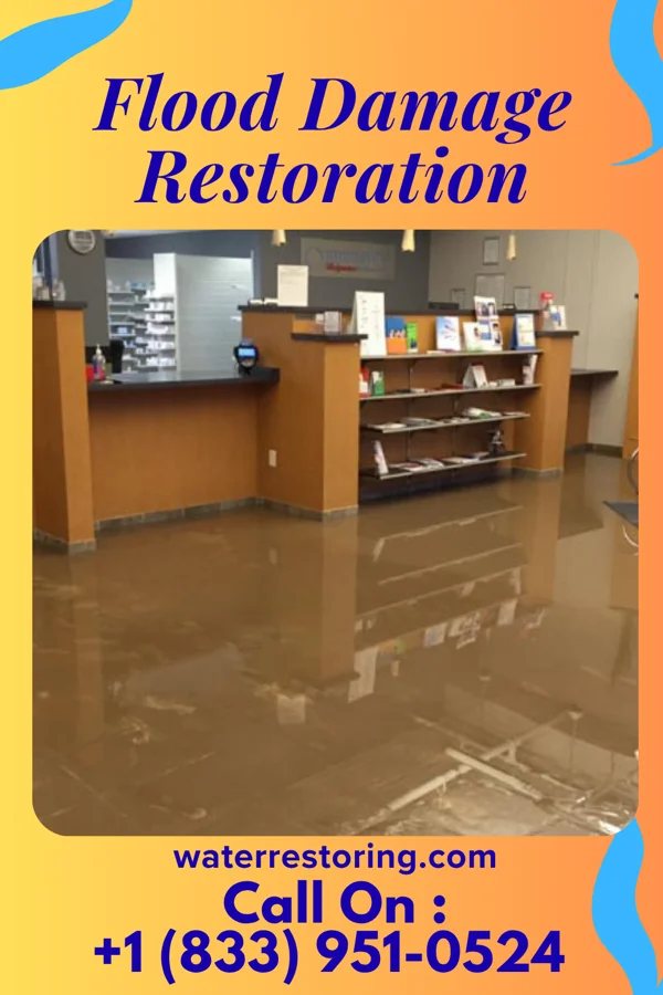 Flood Damage Restoration in Freeburg, MO