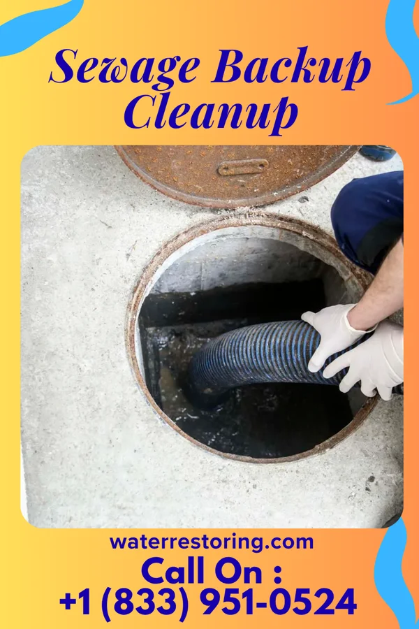 Sewage Backup Cleanup in Freeburg, MO